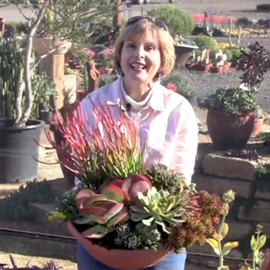 Succulent Saturday | Missouri Botanical Garden